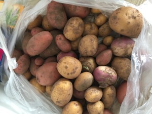 Kartoffeln und Mairrübchen