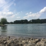 IMG_6664